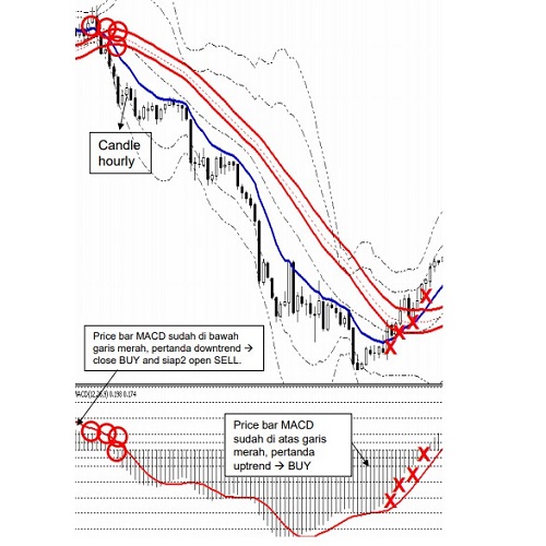 FOREX TEKNIK BURU GAJAH + FREE 4 EBOOK